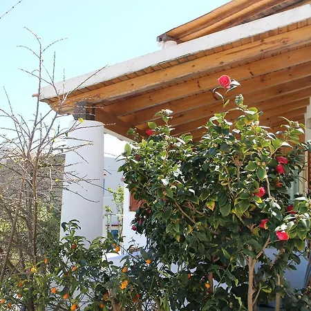 Maestrale بيت للعطل ليباري